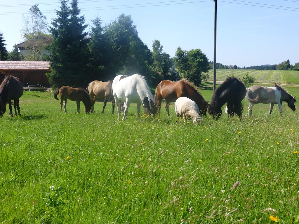 Landgasthof Zum Schwanen Хорнберг Екстериор снимка
